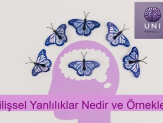 Bilişsel Yanlılıklar Nedir ve Örnekleri