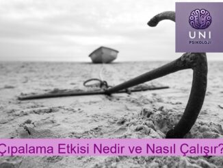 Çıpalama Etkisi Nedir ve Nasıl Çalışır?