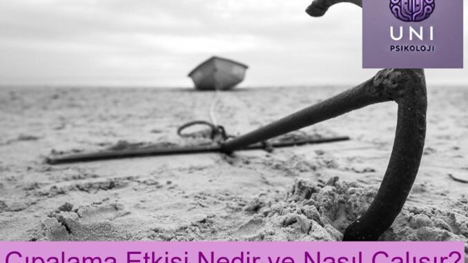 Çıpalama Etkisi Nedir ve Nasıl Çalışır? Çıpalama Etkisi Nedir ve Nasıl Çalışır?