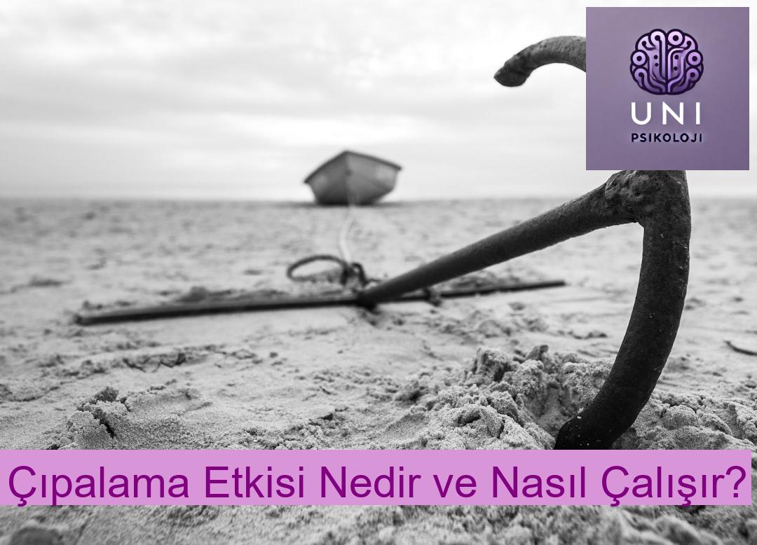 Çıpalama Etkisi Nedir? (Anchoring Effect)
