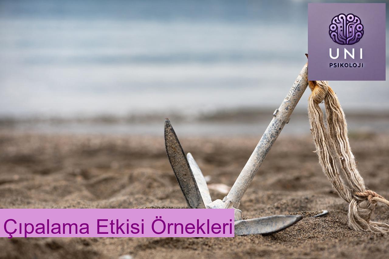 Çıpalama Etkisi Örnekleri