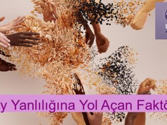 Onay Yanlılığına Yol Açan Faktörler