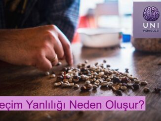 Seçim Yanlılığı Neden Oluşur?
