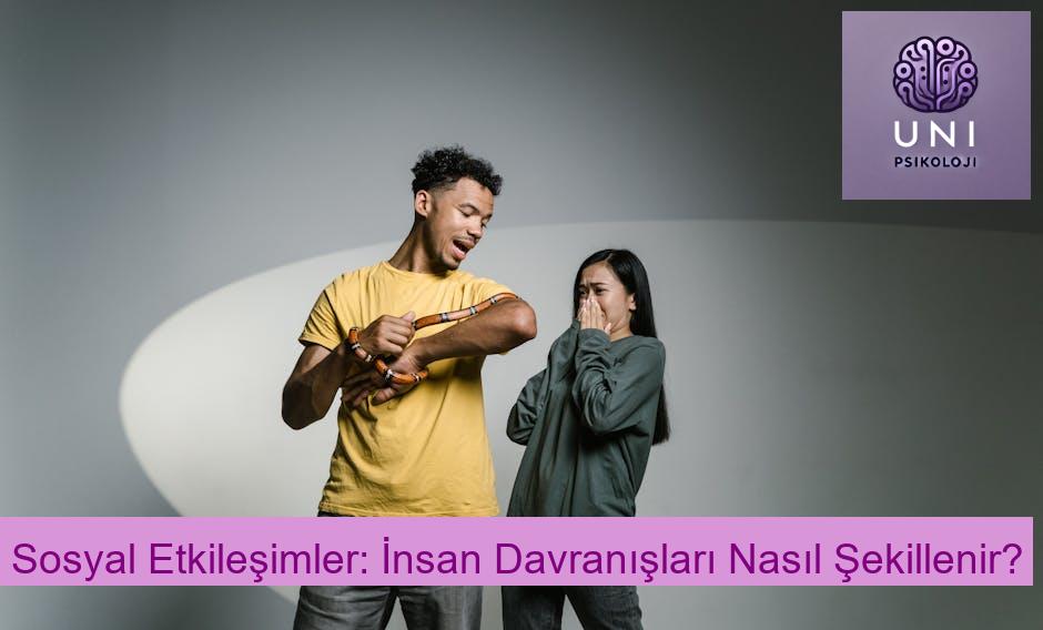 Sosyal Etkileşimler: İnsan Davranışları Nasıl Şekillenir?