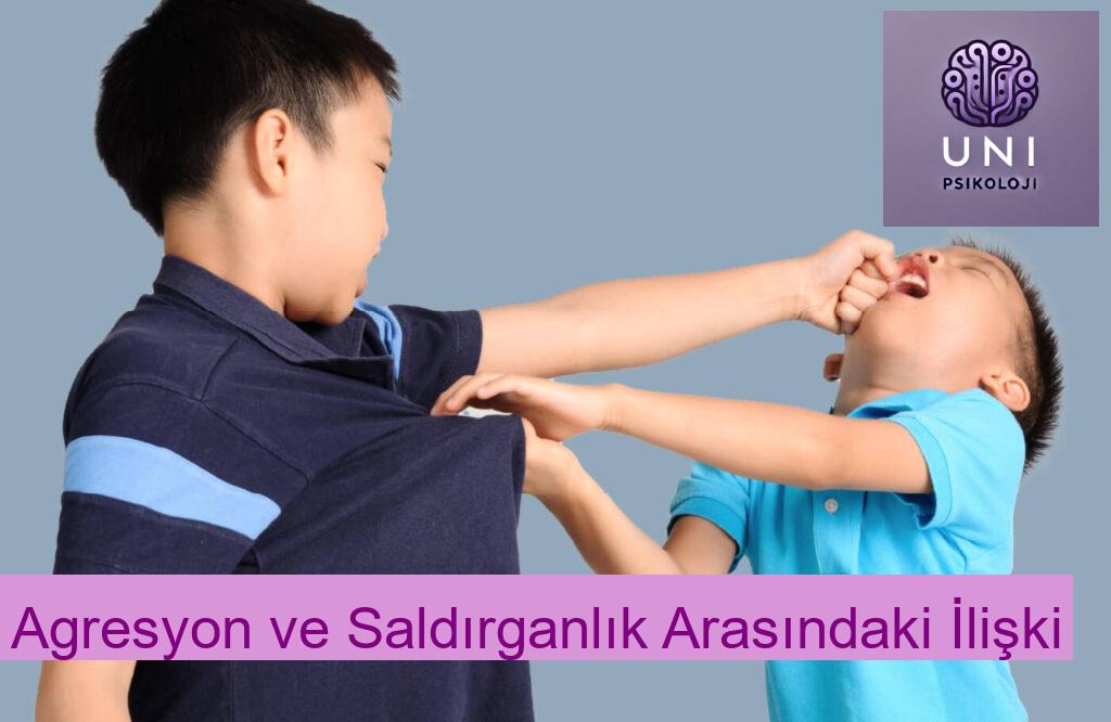Agresyon ve Saldırganlık Arasındaki İlişki