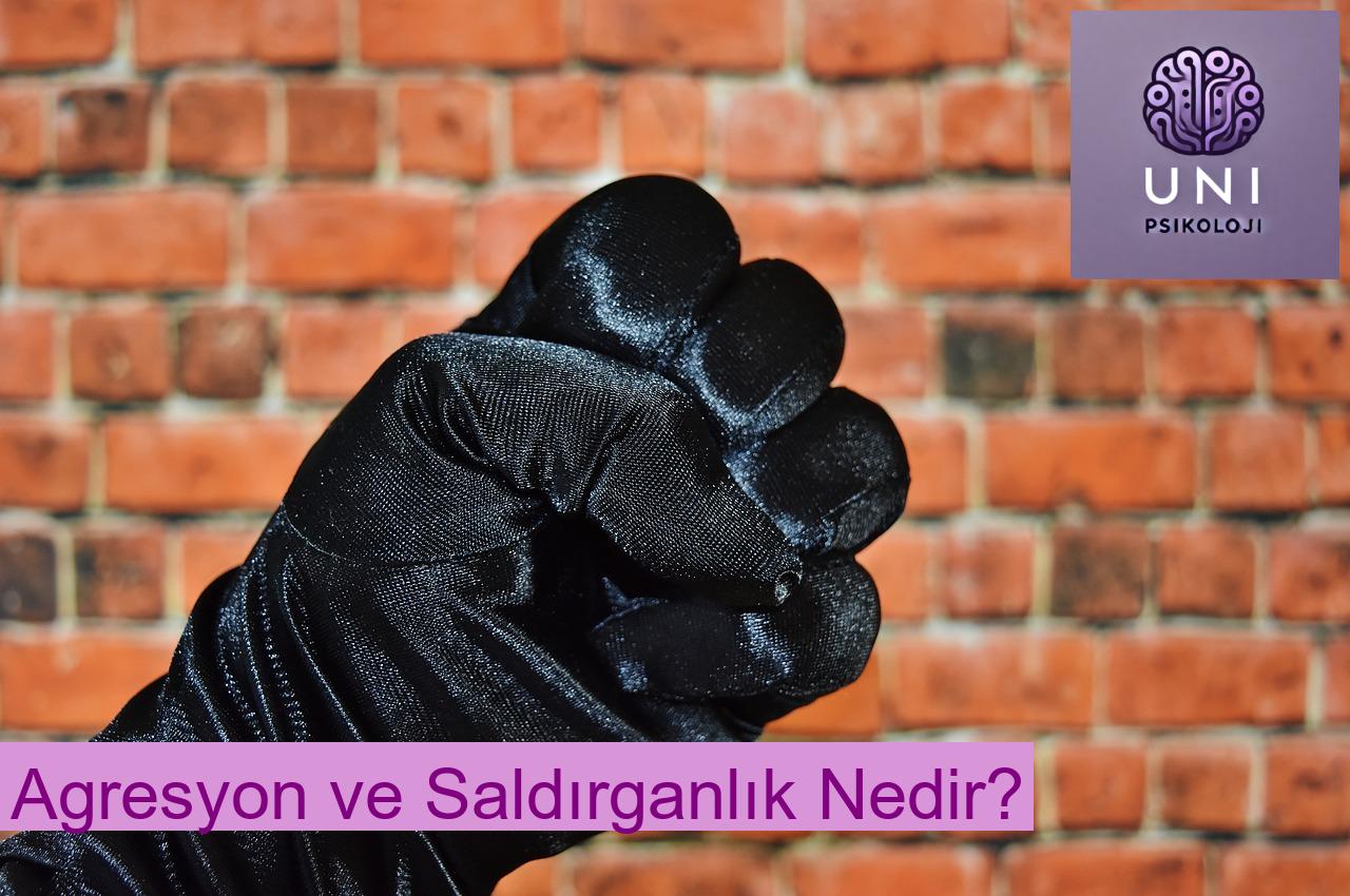 Agresyon ve Saldırganlık Nedir?