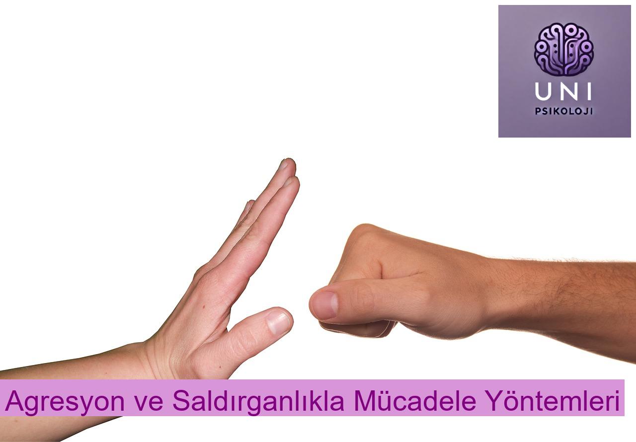 Agresyon ve Saldırganlıkla Mücadele Yöntemleri