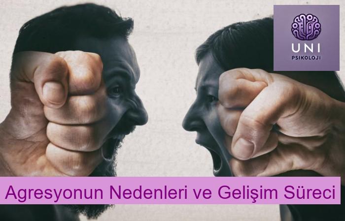 Agresyonun Nedenleri ve Gelişim Süreci