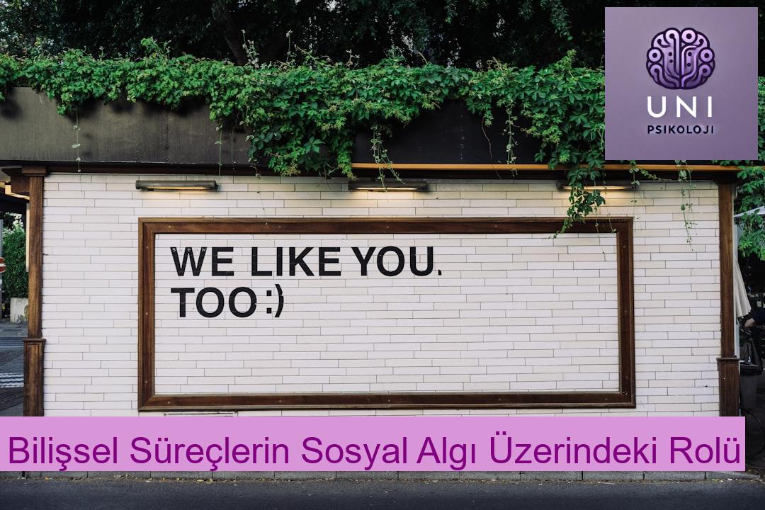 Bilişsel Süreçlerin Sosyal Algı Üzerindeki Rolü