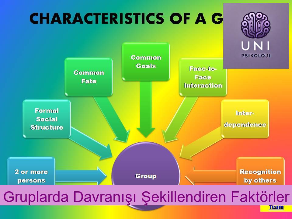 Gruplarda Davranışı Şekillendiren Faktörler