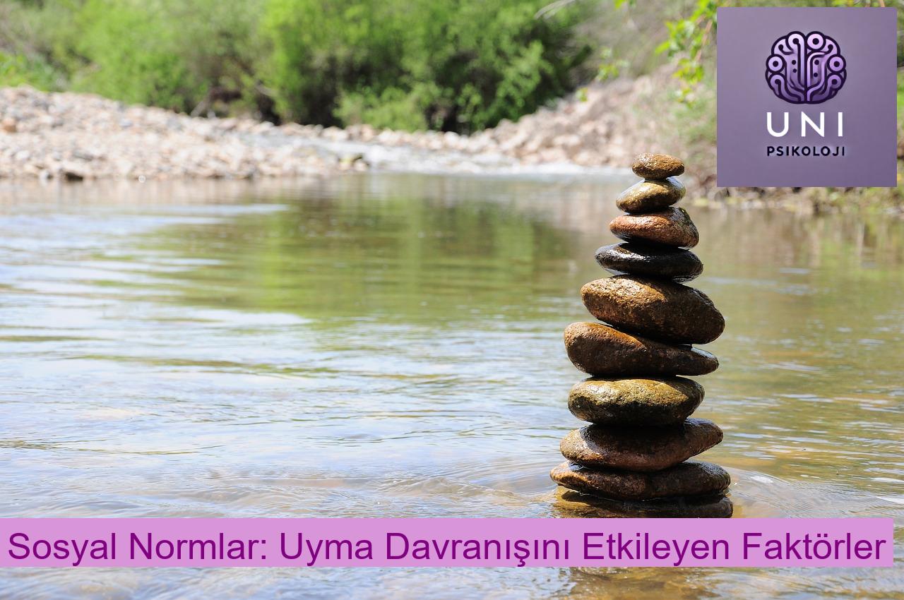 Sosyal Normlar: Uyma Davranışını Etkileyen Faktörler