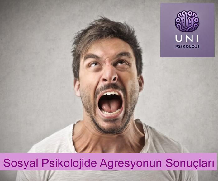 Sosyal Psikolojide Agresyonun Sonuçları