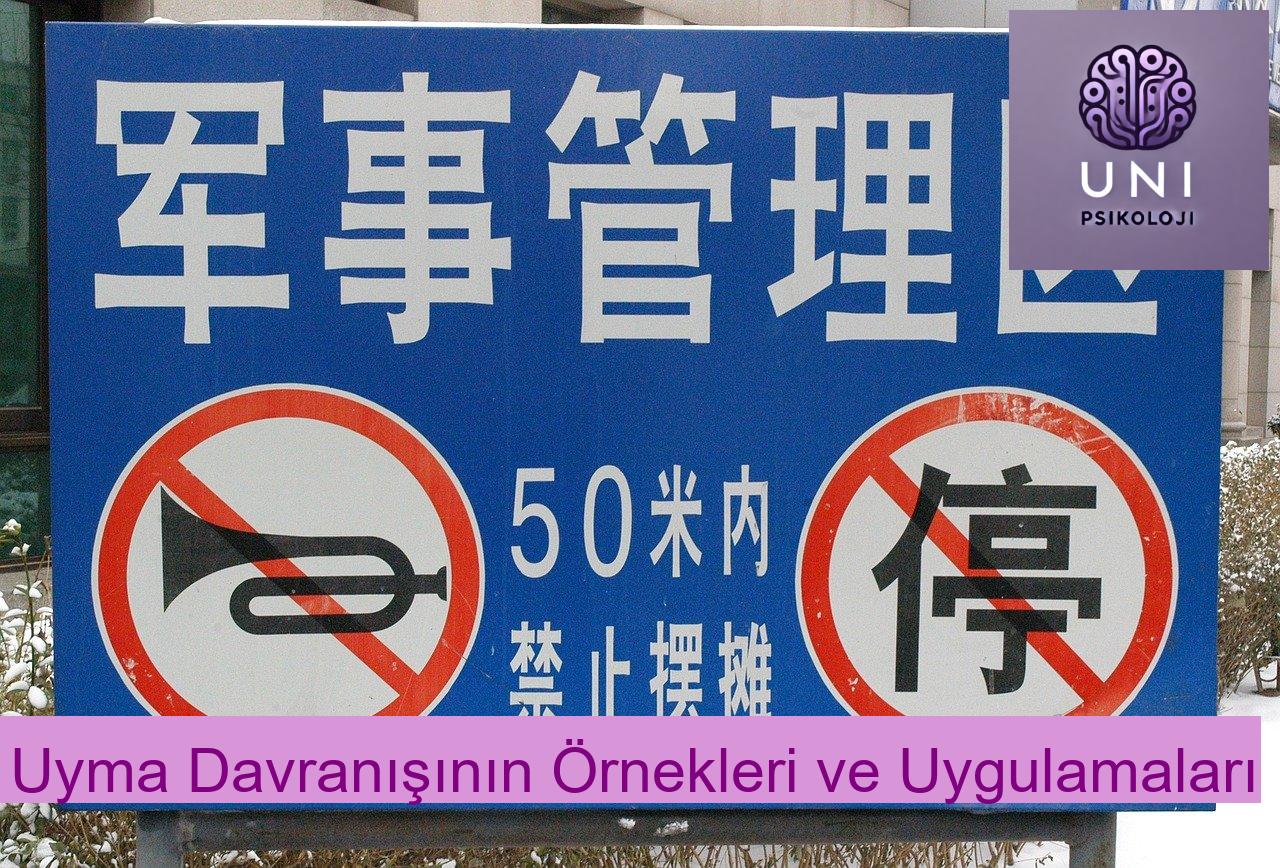 Uyma Davranışının Örnekleri ve Uygulamaları