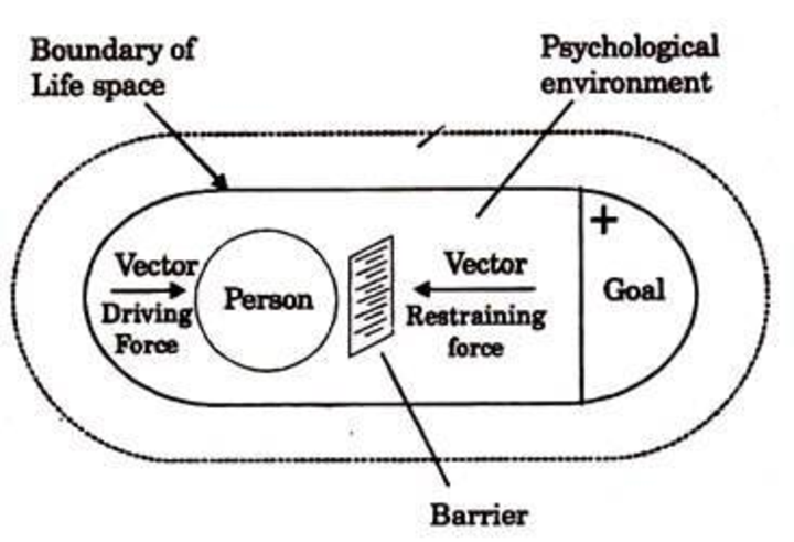 kurt lewin field theory