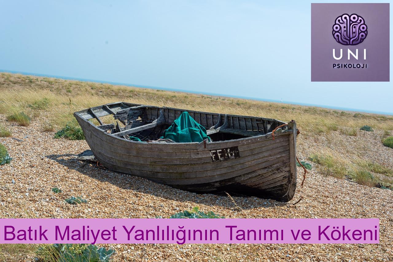 Batık Maliyet Yanlılığının Tanımı ve Kökeni