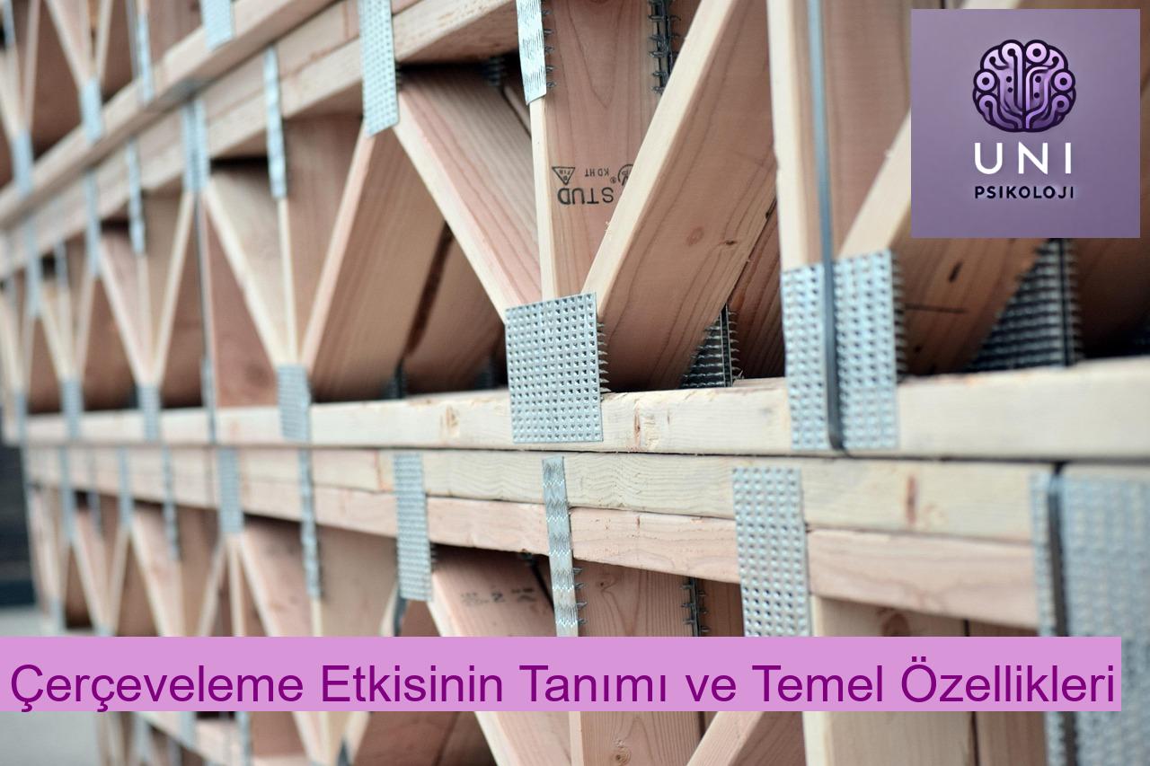 Çerçeveleme Etkisinin Tanımı ve Temel Özellikleri