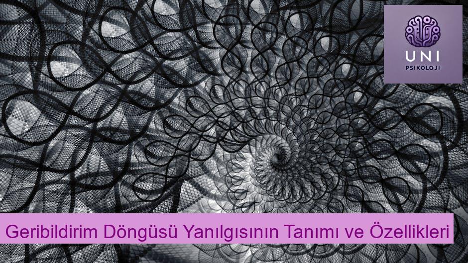 Geribildirim Döngüsü Yanılgısının Tanımı ve Özellikleri