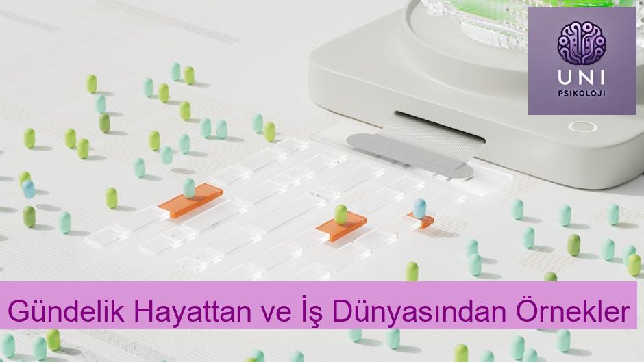 Gündelik Hayattan ve İş Dünyasından Örnekler