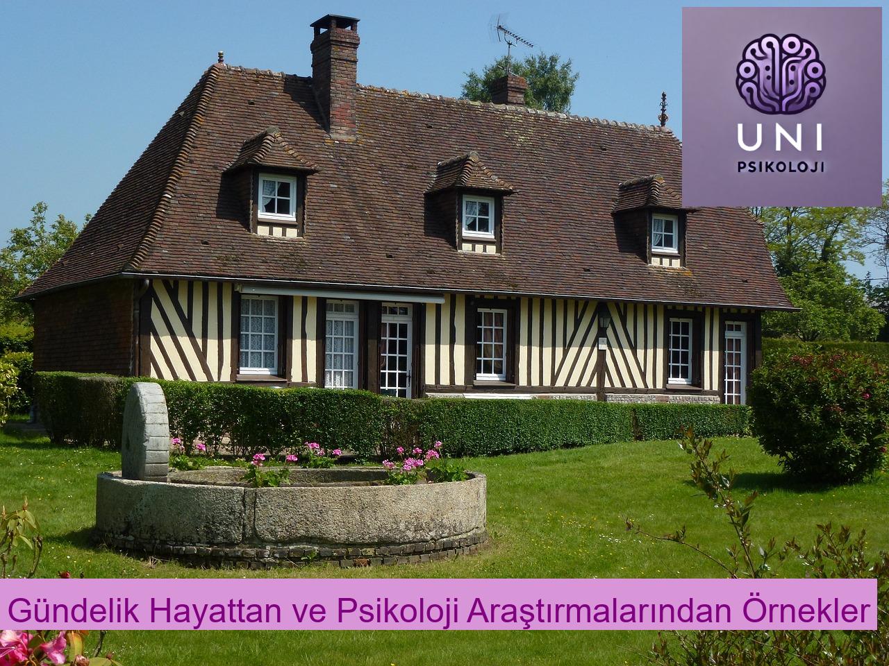Gündelik Hayattan ve Psikoloji Araştırmalarından Örnekler