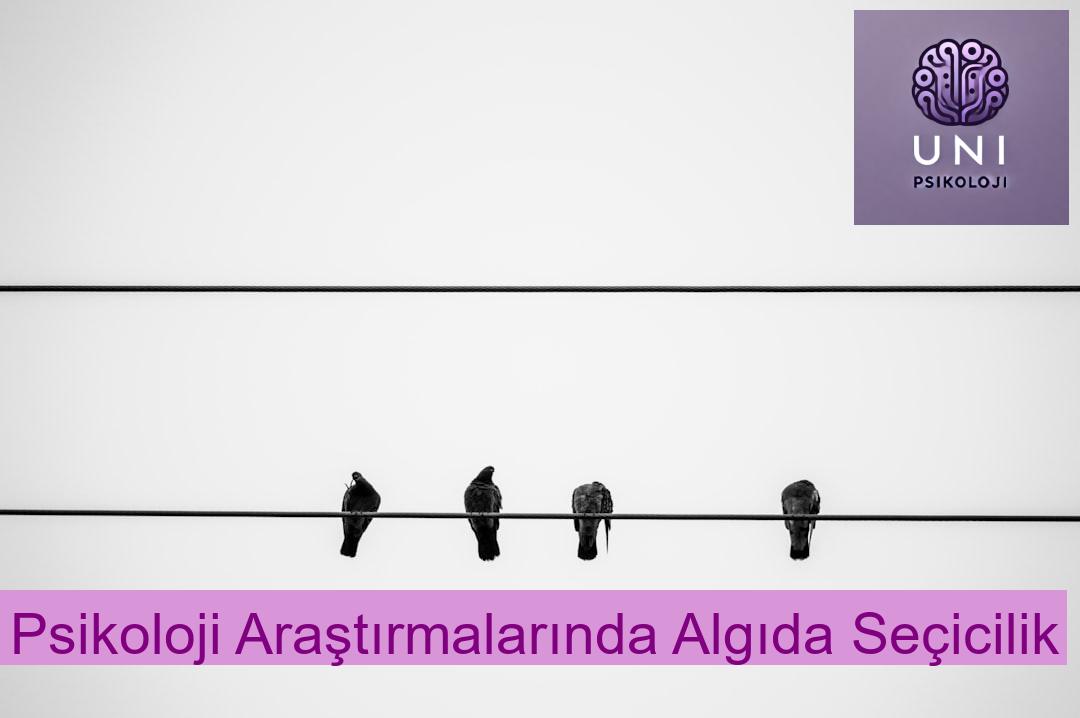 Psikoloji Araştırmalarında Algıda Seçicilik