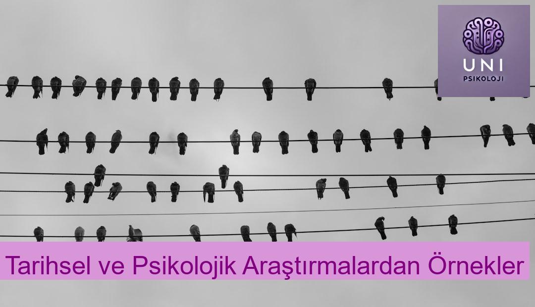 Tarihsel ve Psikolojik Araştırmalardan Örnekler